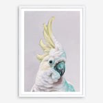 Shop Charlie The Cockatoo (Ice) Art Print a painted bird themed wall art print from The Print Emporium wall artwork collection - Buy Australian made fine art painting style poster and framed prints for the home and your interior decor room, TPE-221-AP
