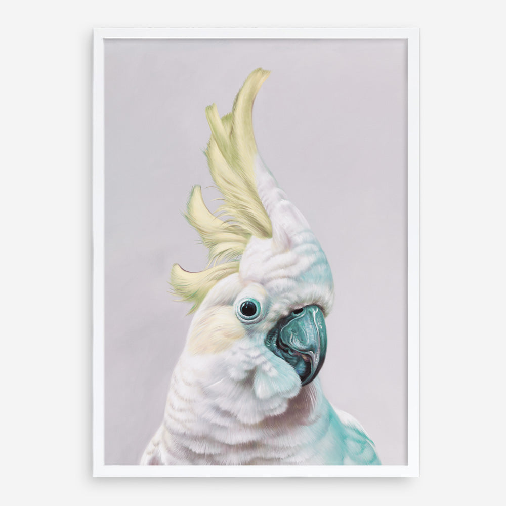 Shop Charlie The Cockatoo (Ice) Art Print a painted bird themed wall art print from The Print Emporium wall artwork collection - Buy Australian made fine art painting style poster and framed prints for the home and your interior decor room, TPE-221-AP