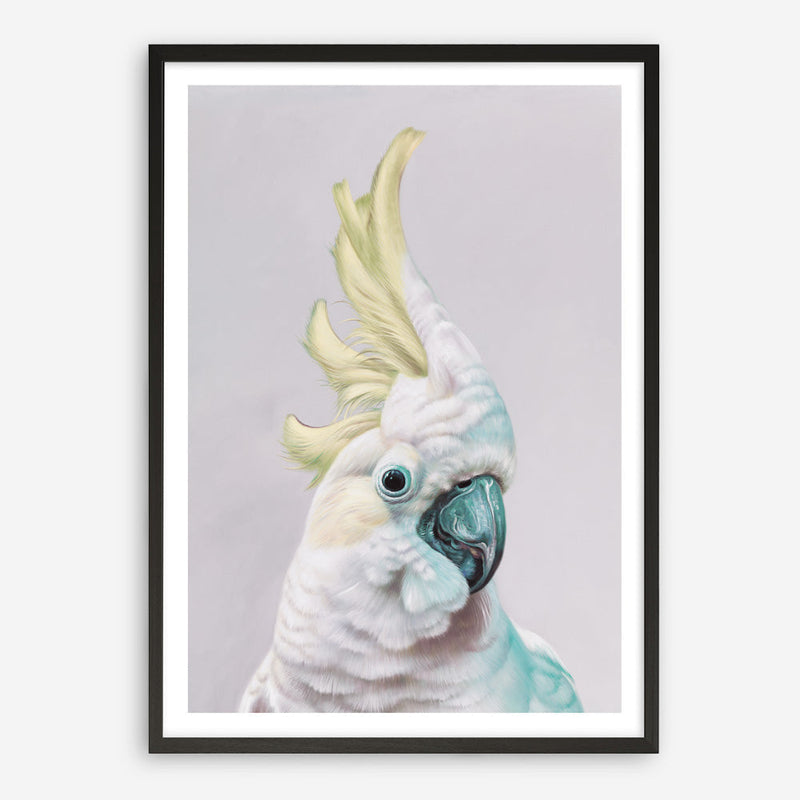 Shop Charlie The Cockatoo (Ice) Art Print a painted bird themed wall art print from The Print Emporium wall artwork collection - Buy Australian made fine art painting style poster and framed prints for the home and your interior decor room, TPE-221-AP