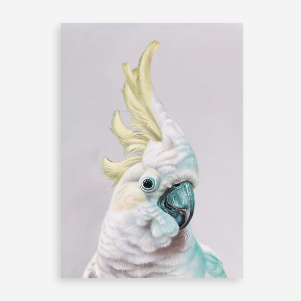 Shop Charlie The Cockatoo (Ice) Art Print a painted bird themed wall art print from The Print Emporium wall artwork collection - Buy Australian made fine art painting style poster and framed prints for the home and your interior decor room, TPE-221-AP