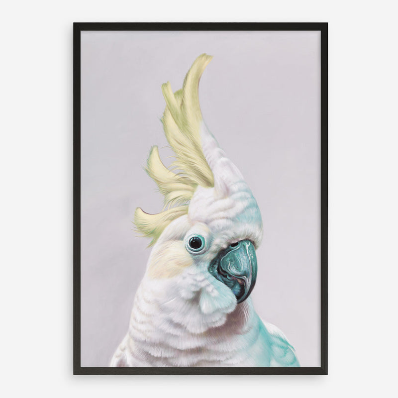 Shop Charlie The Cockatoo (Ice) Art Print a painted bird themed wall art print from The Print Emporium wall artwork collection - Buy Australian made fine art painting style poster and framed prints for the home and your interior decor room, TPE-221-AP