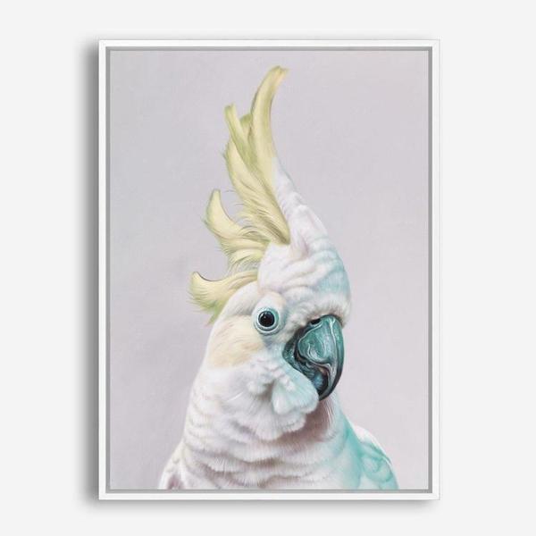 Shop Charlie The Cockatoo (Ice) Canvas Print a painted bird themed framed canvas wall art print from The Print Emporium artwork collection - Buy Australian made fine art painting style stretched canvas prints for the home and your interior decor space, TPE-221-CA-35X46-NF
