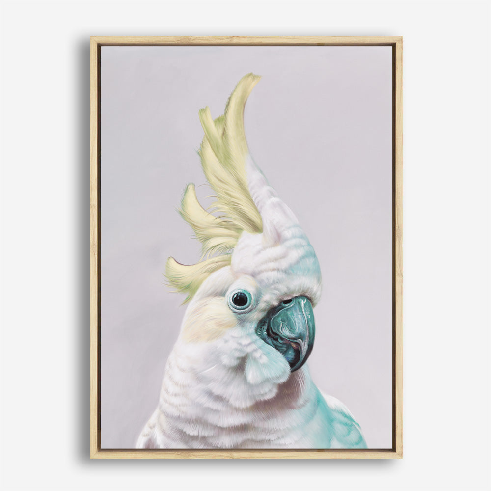 Shop Charlie The Cockatoo (Ice) Canvas Print a painted bird themed framed canvas wall art print from The Print Emporium artwork collection - Buy Australian made fine art painting style stretched canvas prints for the home and your interior decor space, TPE-221-CA-35X46-NF