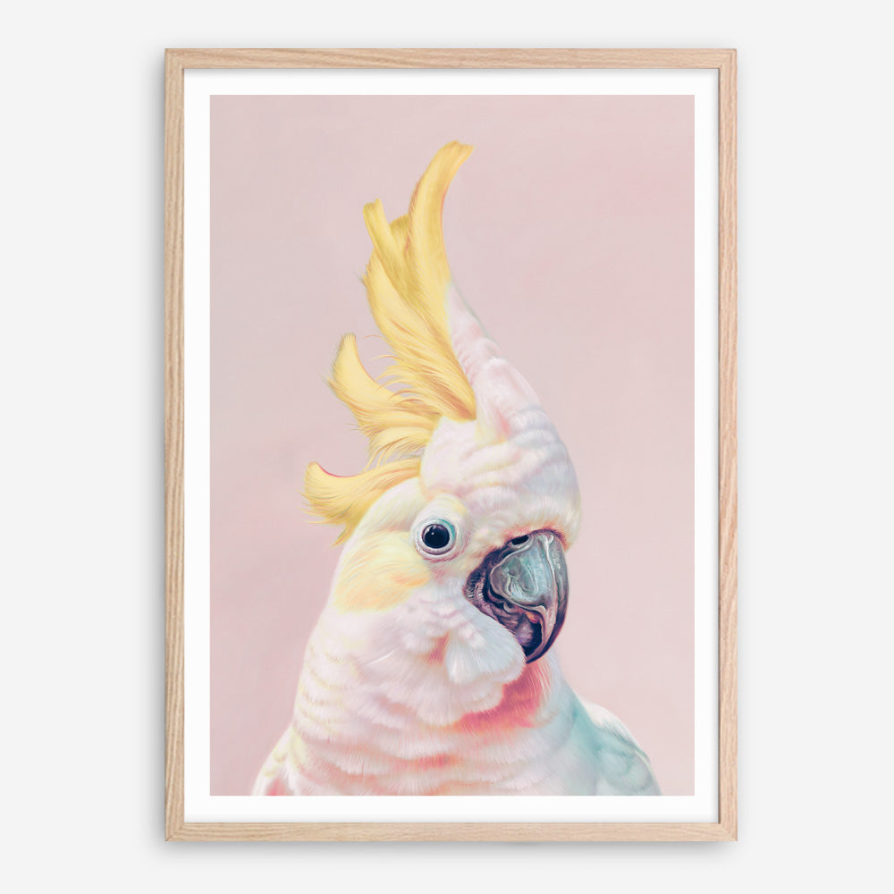 Shop Charlie The Cockatoo (Pink) Art Print a painted bird themed wall art print from The Print Emporium wall artwork collection - Buy Australian made fine art painting style poster and framed prints for the home and your interior decor room, TPE-220-AP