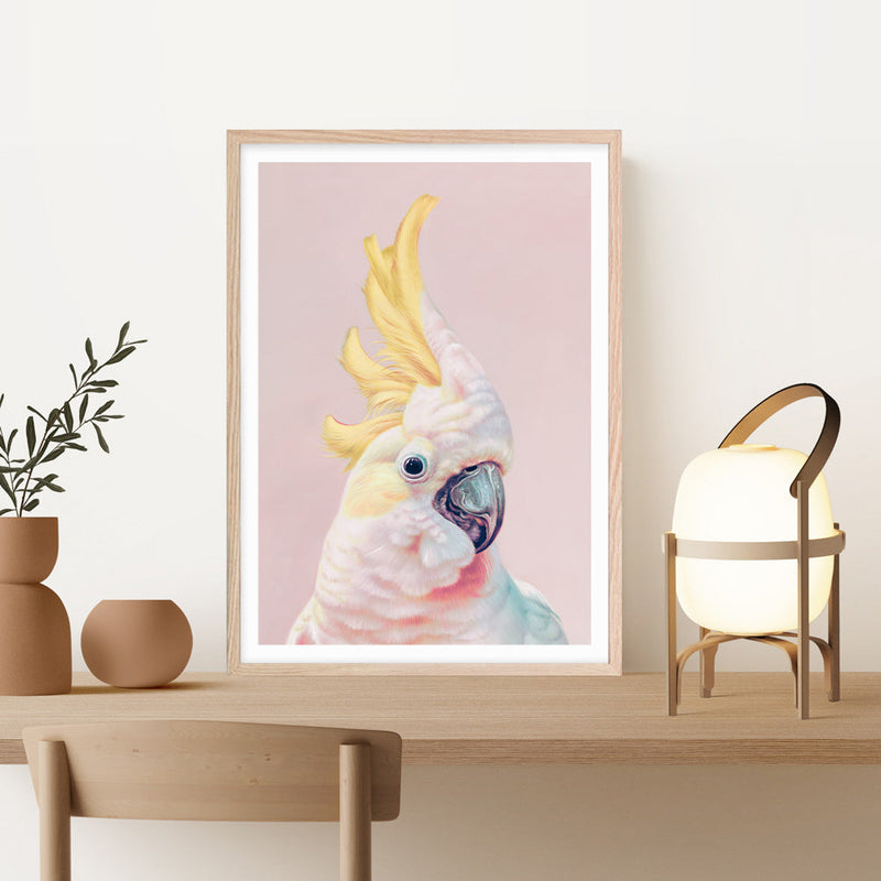 Shop Charlie The Cockatoo (Pink) Art Print a painted bird themed wall art print from The Print Emporium wall artwork collection - Buy Australian made fine art painting style poster and framed prints for the home and your interior decor room, TPE-220-AP