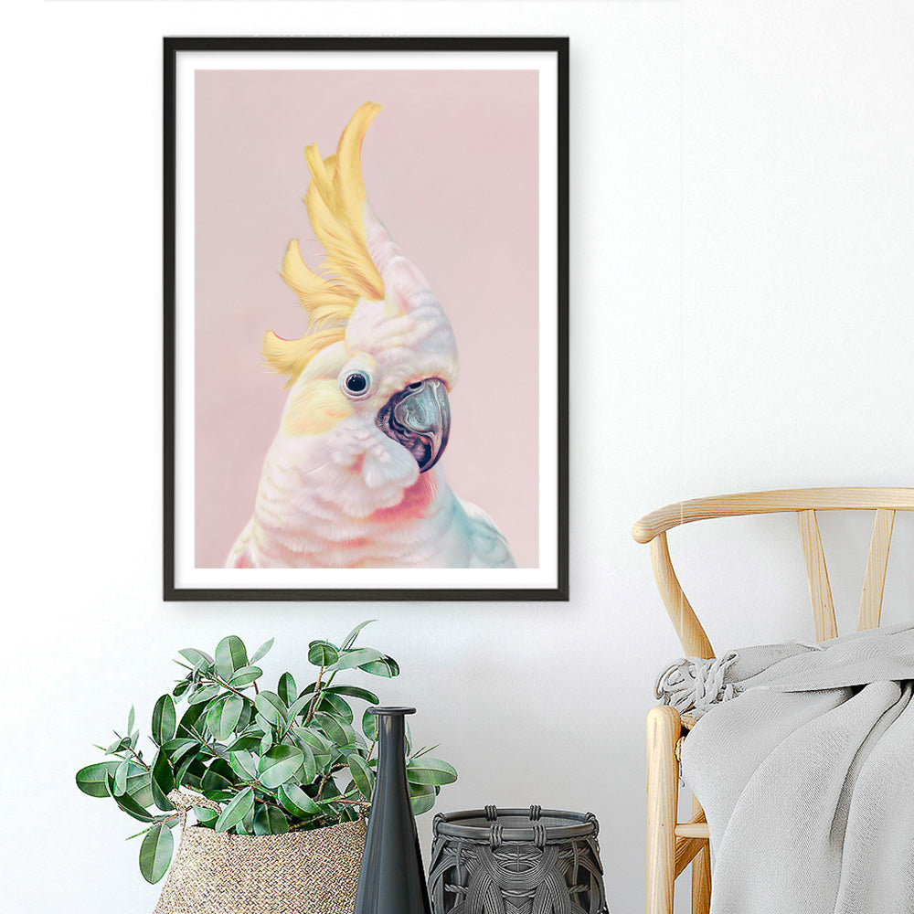 Shop Charlie The Cockatoo (Pink) Art Print a painted bird themed wall art print from The Print Emporium wall artwork collection - Buy Australian made fine art painting style poster and framed prints for the home and your interior decor room, TPE-220-AP