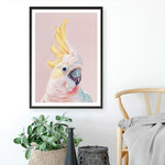 Shop Charlie The Cockatoo (Pink) Art Print a painted bird themed wall art print from The Print Emporium wall artwork collection - Buy Australian made fine art painting style poster and framed prints for the home and your interior decor room, TPE-220-AP