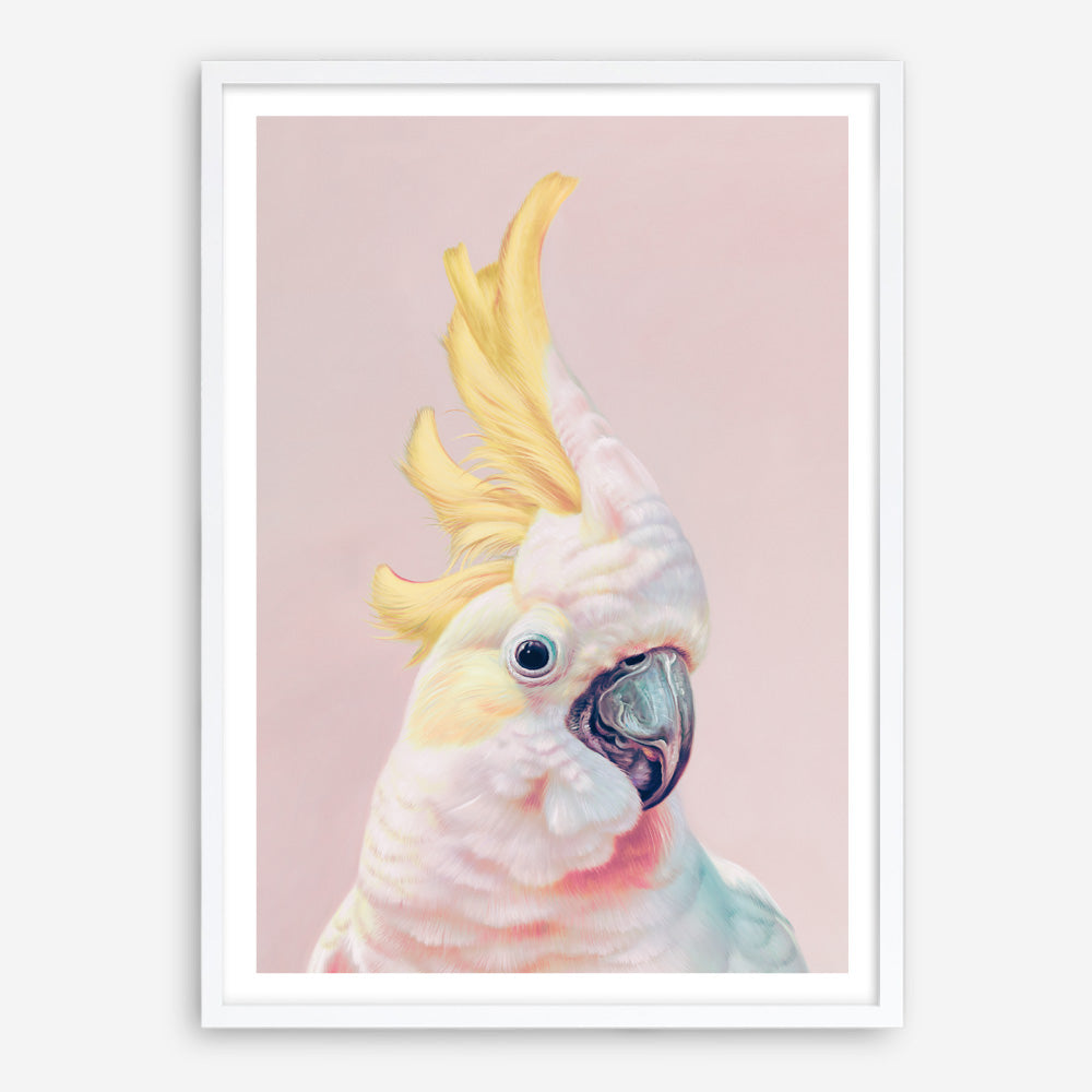 Shop Charlie The Cockatoo (Pink) Art Print a painted bird themed wall art print from The Print Emporium wall artwork collection - Buy Australian made fine art painting style poster and framed prints for the home and your interior decor room, TPE-220-AP