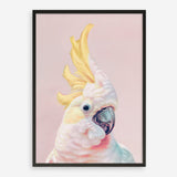 Shop Charlie The Cockatoo (Pink) Art Print a painted bird themed wall art print from The Print Emporium wall artwork collection - Buy Australian made fine art painting style poster and framed prints for the home and your interior decor room, TPE-220-AP