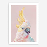 Shop Charlie The Cockatoo (Pink) Art Print a painted bird themed wall art print from The Print Emporium wall artwork collection - Buy Australian made fine art painting style poster and framed prints for the home and your interior decor room, TPE-220-AP