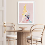 Shop Charlie The Cockatoo (Pink) Art Print a painted bird themed wall art print from The Print Emporium wall artwork collection - Buy Australian made fine art painting style poster and framed prints for the home and your interior decor room, TPE-220-AP