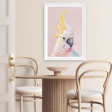 Shop Charlie The Cockatoo (Pink) Art Print a painted bird themed wall art print from The Print Emporium wall artwork collection - Buy Australian made fine art painting style poster and framed prints for the home and your interior decor room, TPE-220-AP