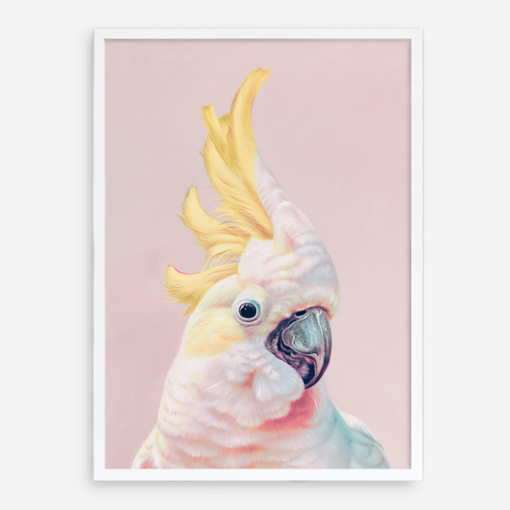 Shop Charlie The Cockatoo (Pink) Art Print a painted bird themed wall art print from The Print Emporium wall artwork collection - Buy Australian made fine art painting style poster and framed prints for the home and your interior decor room, TPE-220-AP