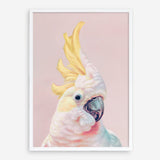 Shop Charlie The Cockatoo (Pink) Art Print a painted bird themed wall art print from The Print Emporium wall artwork collection - Buy Australian made fine art painting style poster and framed prints for the home and your interior decor room, TPE-220-AP