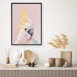 Shop Charlie The Cockatoo (Pink) Art Print a painted bird themed wall art print from The Print Emporium wall artwork collection - Buy Australian made fine art painting style poster and framed prints for the home and your interior decor room, TPE-220-AP