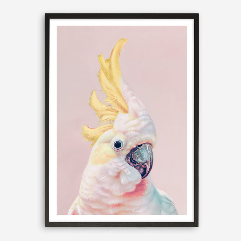 Shop Charlie The Cockatoo (Pink) Art Print a painted bird themed wall art print from The Print Emporium wall artwork collection - Buy Australian made fine art painting style poster and framed prints for the home and your interior decor room, TPE-220-AP