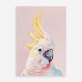 Shop Charlie The Cockatoo (Pink) Art Print a painted bird themed wall art print from The Print Emporium wall artwork collection - Buy Australian made fine art painting style poster and framed prints for the home and your interior decor room, TPE-220-AP