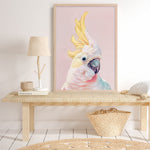 Shop Charlie The Cockatoo (Pink) Art Print a painted bird themed wall art print from The Print Emporium wall artwork collection - Buy Australian made fine art painting style poster and framed prints for the home and your interior decor room, TPE-220-AP