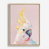 Shop Charlie The Cockatoo (Pink) Canvas Print a painted bird themed framed canvas wall art print from The Print Emporium artwork collection - Buy Australian made fine art painting style stretched canvas prints for the home and your interior decor space, TPE-220-CA-35X46-NF