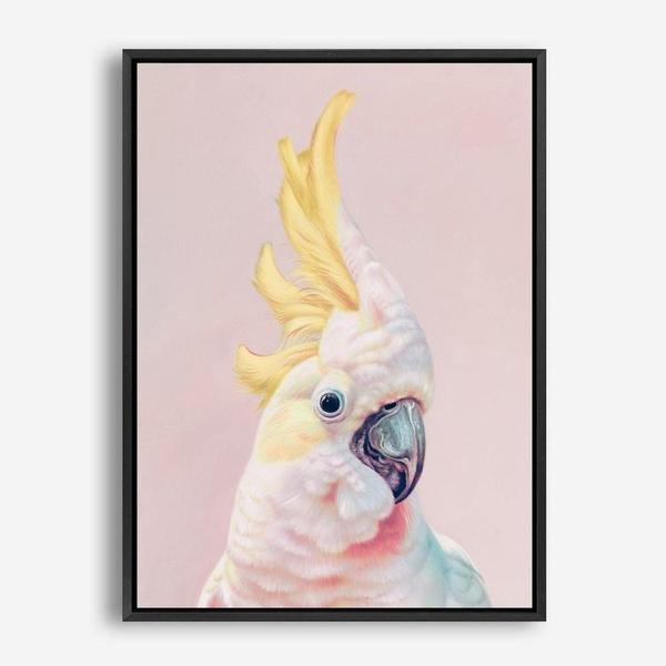 Shop Charlie The Cockatoo (Pink) Canvas Print a painted bird themed framed canvas wall art print from The Print Emporium artwork collection - Buy Australian made fine art painting style stretched canvas prints for the home and your interior decor space, TPE-220-CA-35X46-NF