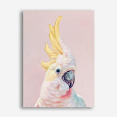 Shop Charlie The Cockatoo (Pink) Canvas Print a painted bird themed framed canvas wall art print from The Print Emporium artwork collection - Buy Australian made fine art painting style stretched canvas prints for the home and your interior decor space, TPE-220-CA-35X46-NF