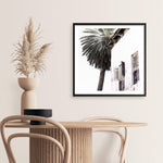 Shop Coastal Casa (Square) Photo Art Print a coastal themed photography wall art print from The Print Emporium wall artwork collection - Buy Australian made fine art poster and framed prints for the home and your interior decor, TPE-1080-AP