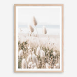 Shop Coastal Grass II Photo Art Print a coastal themed photography wall art print from The Print Emporium wall artwork collection - Buy Australian made fine art poster and framed prints for the home and your interior decor, TPE-1055-AP