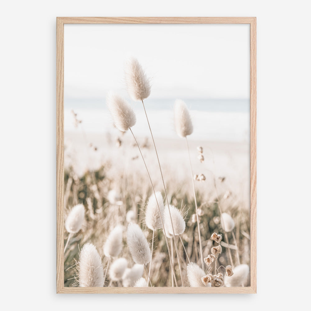 Shop Coastal Grass II Photo Art Print a coastal themed photography wall art print from The Print Emporium wall artwork collection - Buy Australian made fine art poster and framed prints for the home and your interior decor, TPE-1055-AP