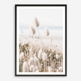 Shop Coastal Grass II Photo Art Print a coastal themed photography wall art print from The Print Emporium wall artwork collection - Buy Australian made fine art poster and framed prints for the home and your interior decor, TPE-1055-AP