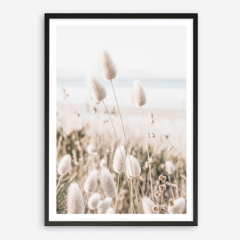 Shop Coastal Grass II Photo Art Print a coastal themed photography wall art print from The Print Emporium wall artwork collection - Buy Australian made fine art poster and framed prints for the home and your interior decor, TPE-1055-AP