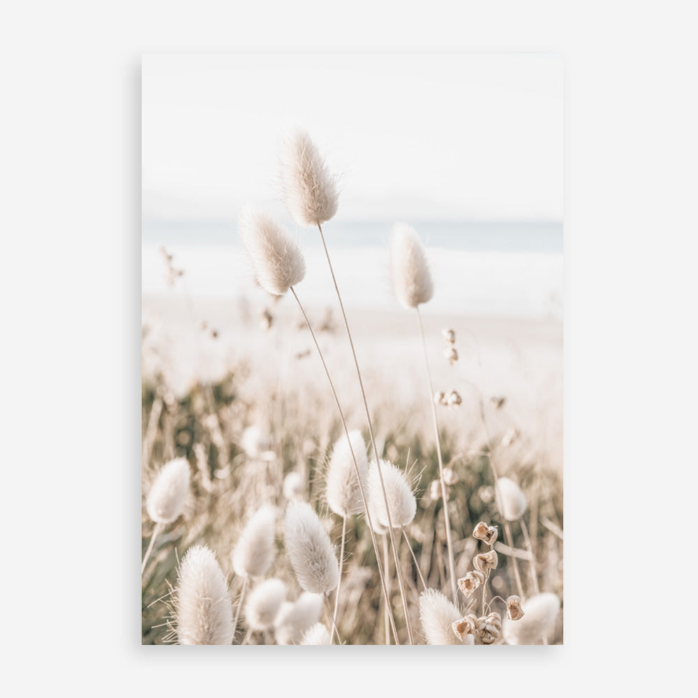 Shop Coastal Grass II Photo Art Print a coastal themed photography wall art print from The Print Emporium wall artwork collection - Buy Australian made fine art poster and framed prints for the home and your interior decor, TPE-1055-AP