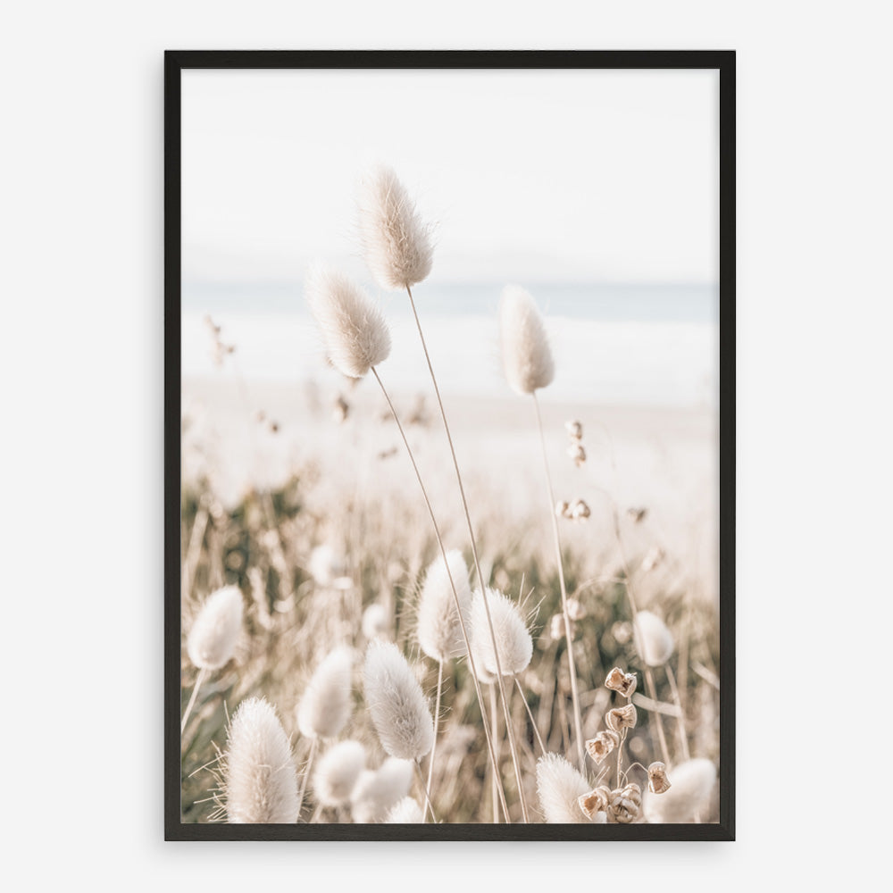 Buy Coastal Grass II Photo Art Print | The Print Emporium®