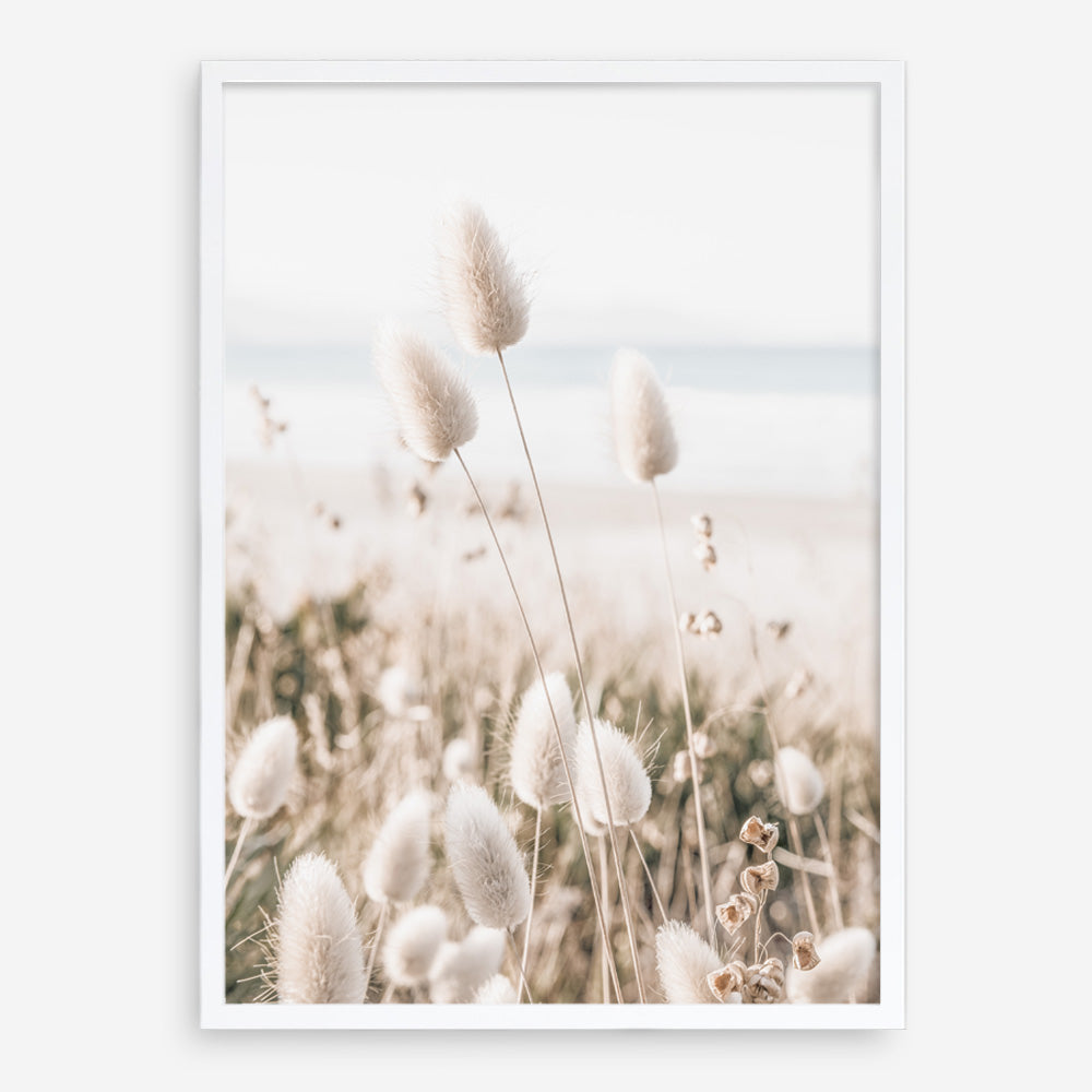 Shop Coastal Grass II Photo Art Print a coastal themed photography wall art print from The Print Emporium wall artwork collection - Buy Australian made fine art poster and framed prints for the home and your interior decor, TPE-1055-AP