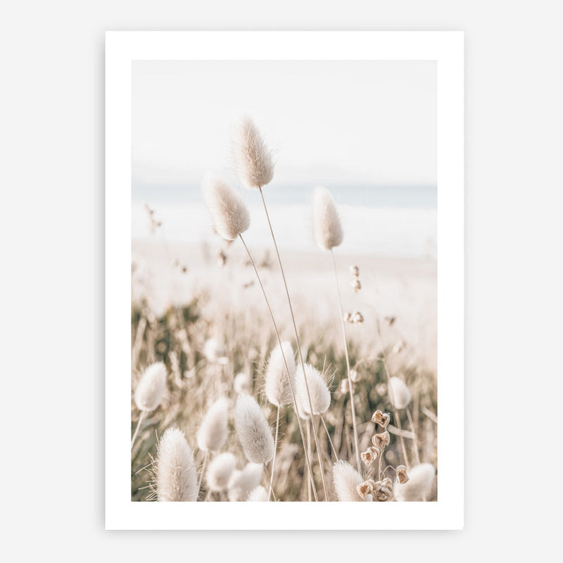 Shop Coastal Grass II Photo Art Print a coastal themed photography wall art print from The Print Emporium wall artwork collection - Buy Australian made fine art poster and framed prints for the home and your interior decor, TPE-1055-AP