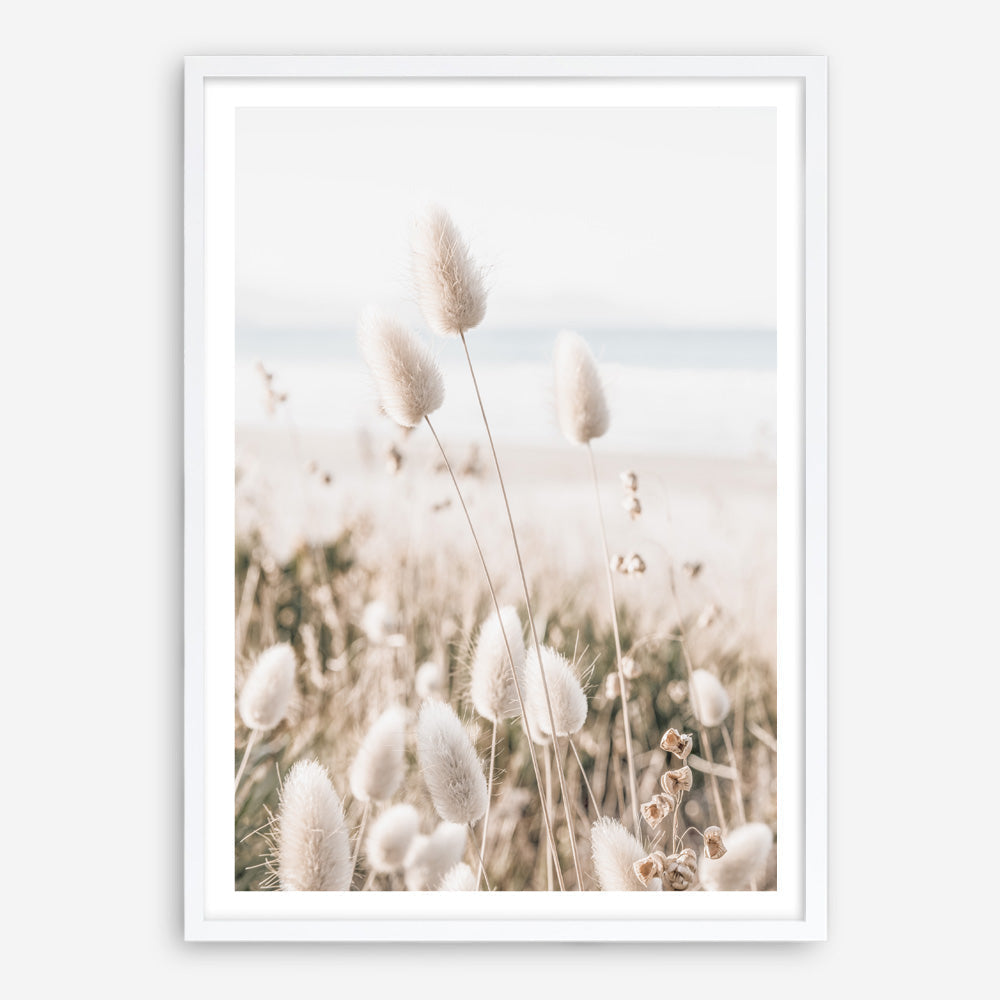Shop Coastal Grass II Photo Art Print a coastal themed photography wall art print from The Print Emporium wall artwork collection - Buy Australian made fine art poster and framed prints for the home and your interior decor, TPE-1055-AP