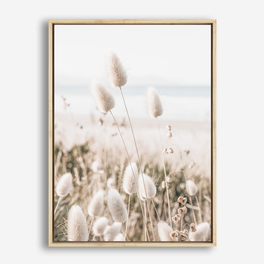Shop Coastal Grass II Photo Canvas Print a coastal themed photography framed stretched canvas print from The Print Emporium wall artwork collection - Buy Australian made prints for the home and your interior decor space, TPE-1055-CA-35X46-NF