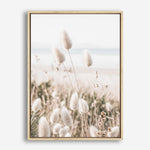 Shop Coastal Grass II Photo Canvas Print a coastal themed photography framed stretched canvas print from The Print Emporium wall artwork collection - Buy Australian made prints for the home and your interior decor space, TPE-1055-CA-35X46-NF
