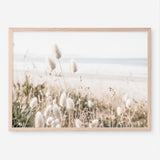 Shop Coastal Grass Photo Art Print a coastal themed photography wall art print from The Print Emporium wall artwork collection - Buy Australian made fine art poster and framed prints for the home and your interior decor, TPE-1051-AP