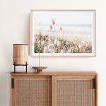 Shop Coastal Grass Photo Art Print a coastal themed photography wall art print from The Print Emporium wall artwork collection - Buy Australian made fine art poster and framed prints for the home and your interior decor, TPE-1051-AP