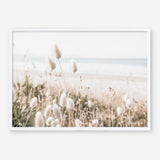 Shop Coastal Grass Photo Art Print a coastal themed photography wall art print from The Print Emporium wall artwork collection - Buy Australian made fine art poster and framed prints for the home and your interior decor, TPE-1051-AP