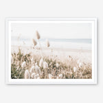Shop Coastal Grass Photo Art Print a coastal themed photography wall art print from The Print Emporium wall artwork collection - Buy Australian made fine art poster and framed prints for the home and your interior decor, TPE-1051-AP