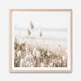 Shop Coastal Grass (Square) Photo Art Print a coastal themed photography wall art print from The Print Emporium wall artwork collection - Buy Australian made fine art poster and framed prints for the home and your interior decor, TPE-1150-AP