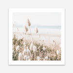 Shop Coastal Grass (Square) Photo Art Print a coastal themed photography wall art print from The Print Emporium wall artwork collection - Buy Australian made fine art poster and framed prints for the home and your interior decor, TPE-1150-AP