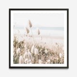 Shop Coastal Grass (Square) Photo Art Print a coastal themed photography wall art print from The Print Emporium wall artwork collection - Buy Australian made fine art poster and framed prints for the home and your interior decor, TPE-1150-AP