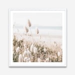 Shop Coastal Grass (Square) Photo Art Print a coastal themed photography wall art print from The Print Emporium wall artwork collection - Buy Australian made fine art poster and framed prints for the home and your interior decor, TPE-1150-AP