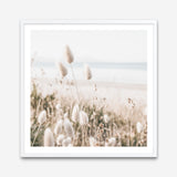 Shop Coastal Grass (Square) Photo Art Print a coastal themed photography wall art print from The Print Emporium wall artwork collection - Buy Australian made fine art poster and framed prints for the home and your interior decor, TPE-1150-AP