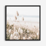 Shop Coastal Grass (Square) Photo Canvas a coastal themed photography framed stretched canvas print from The Print Emporium wall artwork collection - Buy Australian made prints for the home and your interior decor space, TPE-1150-CA-40X40-NF