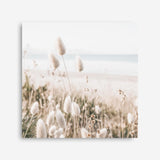 Shop Coastal Grass (Square) Photo Canvas a coastal themed photography framed stretched canvas print from The Print Emporium wall artwork collection - Buy Australian made prints for the home and your interior decor space, TPE-1150-CA-40X40-NF