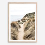 Shop Coastal Path I Photo Art Print a coastal themed photography wall art print from The Print Emporium wall artwork collection - Buy Australian made fine art poster and framed prints for the home and your interior decor, TPE-1152-AP