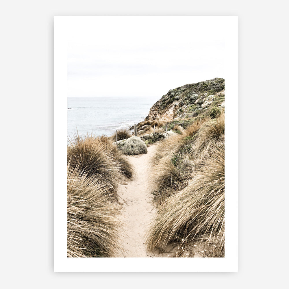 Shop Coastal Path I Photo Art Print a coastal themed photography wall art print from The Print Emporium wall artwork collection - Buy Australian made fine art poster and framed prints for the home and your interior decor, TPE-1152-AP